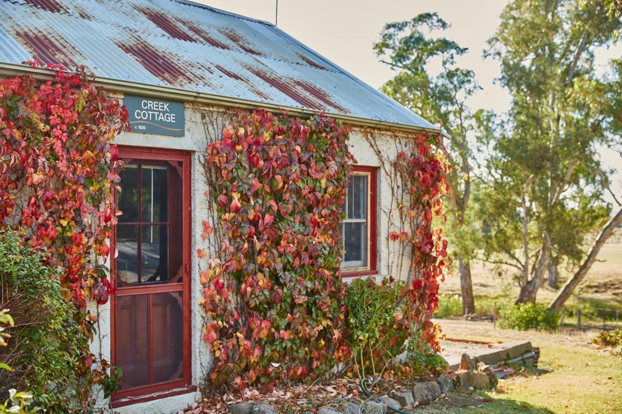 Lochinver Homestead And Cottages Мерибъро Екстериор снимка